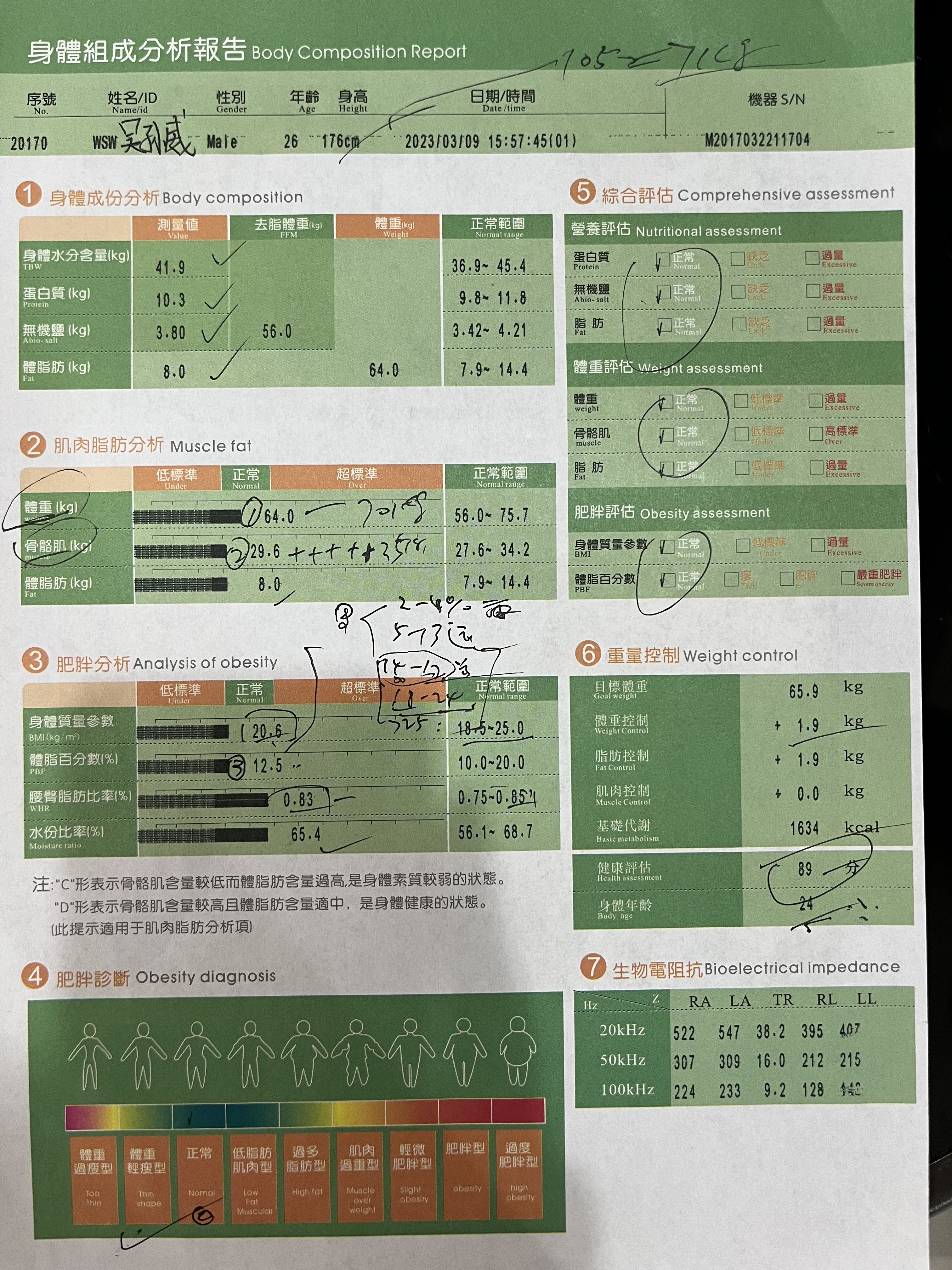 分析报告